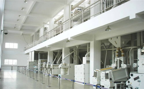 水稻加工成大米加工需要哪些机械呢