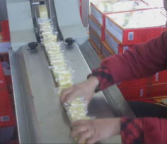 片装整理机与包装机 机电设备安装的关键环节与实施要点